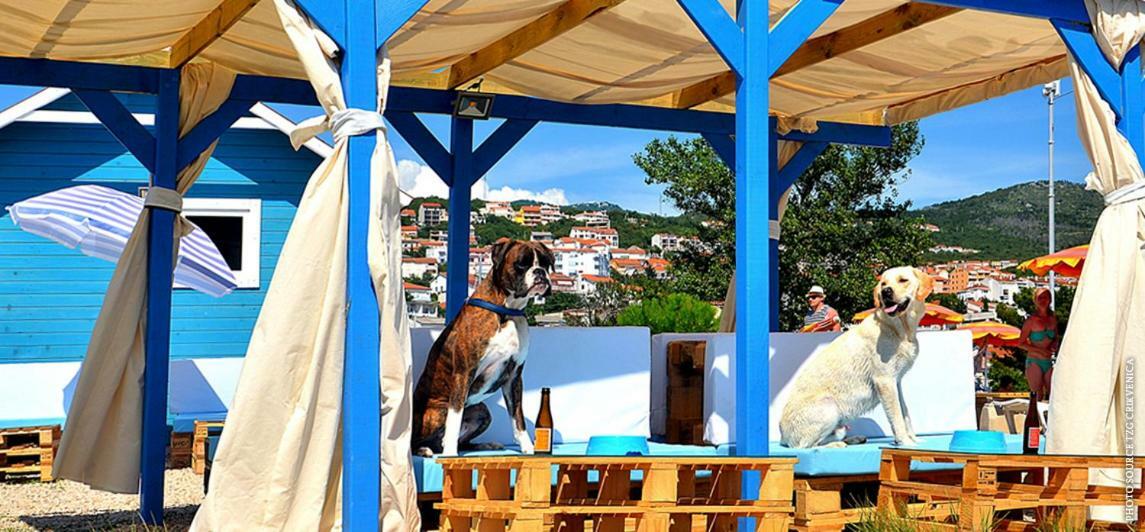 Apartments Anita Crikvenica Zewnętrze zdjęcie