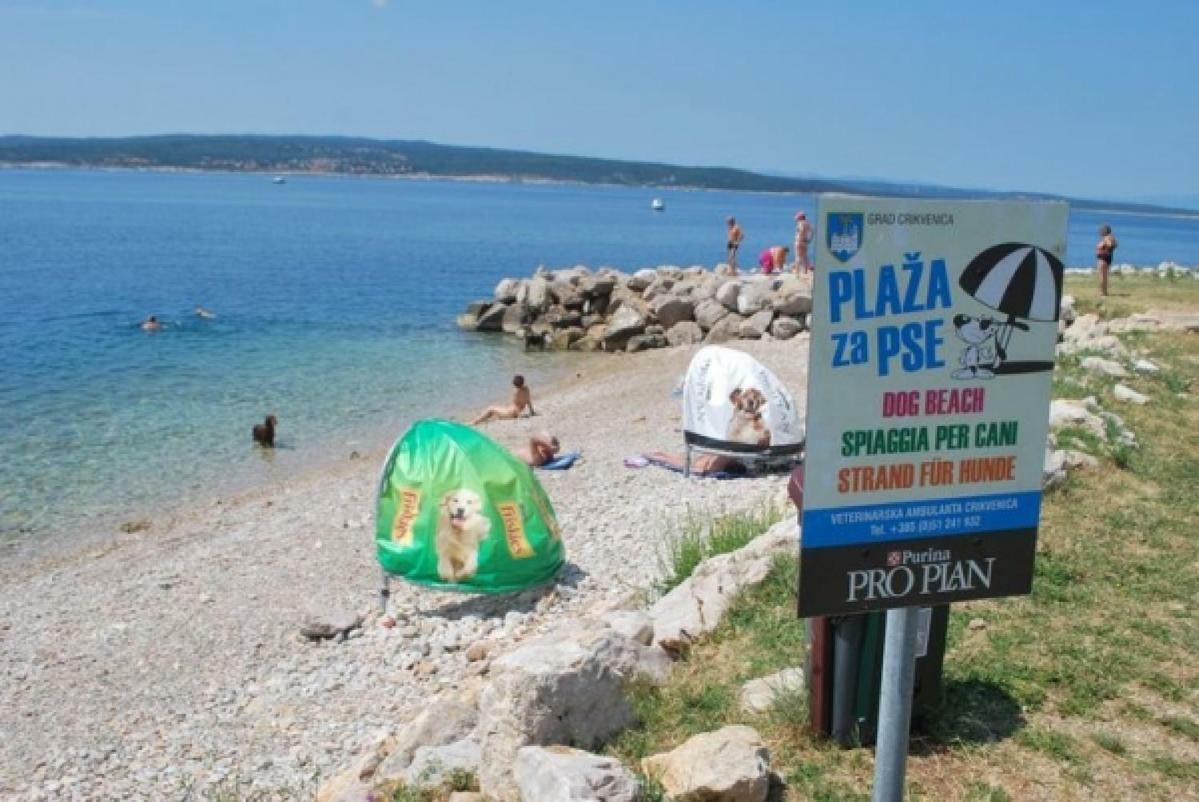 Apartments Anita Crikvenica Zewnętrze zdjęcie